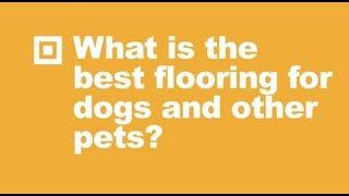 The Best Flooring for Dogs (and Other Pets) | Ask BuildDirect