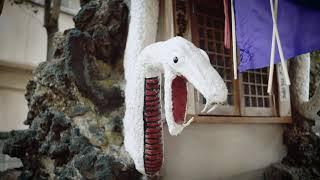 蛇窪神社　白蛇さまへ参拝～白蛇祈願