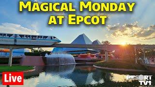 Live: Magical Monday at Epcot Flower & Garden Festival - Walt Disney World Live Stream