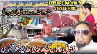 New Shaheen Hotel in Dadyal  Explore Street Food || A Day in Bhalote Chowk  Family Vlog