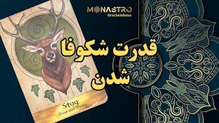 انرژی خوانی از دک فرشتگان - موناسترو
