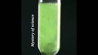 Sodium Extract with colourful reaction #short #mystery of science #chemical reaction  #experiment