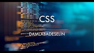 CSS3-DamlaBadeSelin(Bade Yaşar)