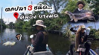 เตะก้านคอ ลุยตกปลา 3ชนิด ที่ กรุงเทพฯ.... | Kayak Fishing