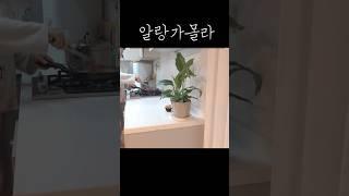 이 기분 알랑가몰라 #vlog #살림 #밑반찬만들기 #asmr #시골밥상 #짧은글귀 #asmrfood #koreanfood #간식만들기