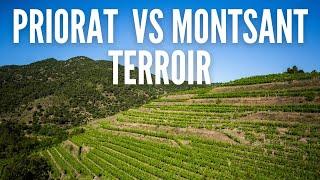 Differences between Priorat DOQ & Montsant DO | Wine Ghosts Podcast Ep. 48.