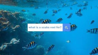 What is a scuba reel for? | Answered | @simplyscuba