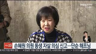 손혜원 의원 동생 자살 의심신고…단순 해프닝 / 연합뉴스TV (YonhapnewsTV)