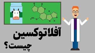 افلاتوکسین چیست؟ سمی ؟ آشپزی