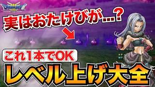 【序盤〜クリア後】結局どれが良い？レベル上げおすすめ場所&メタル狩りに必要な知識まとめ【ドラクエ3リメイク】