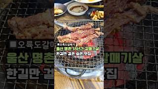 울산 명촌 18년째 갈매기살만 고집한 숨은맛집 #울산맛집 #맛집