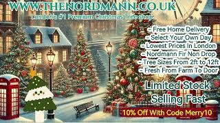 The Nordmann Christmas Tree Sale