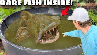 I Found Rare Fish Living Inside of My Pond!