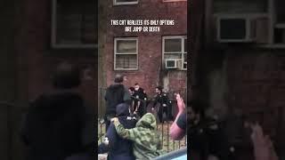  Cat Makes Daring Escape from Fire in Harlem, New York! #shorts