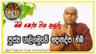 ඔබේ කෝපය පාලනය කරන්නේ කෙසේද?,දම් සක් මග,