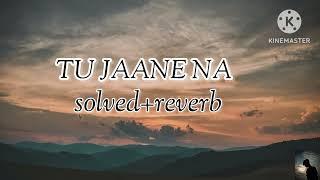 TU JANNE NA SOLVED + REVERB SONG #songs