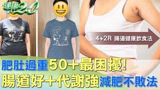 肥肚過重50+最困擾! 腸道好+代謝強減肥不敗法 健康2.0 @tvbshealth20