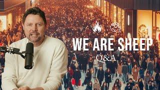 We Are Sheep | Q&A