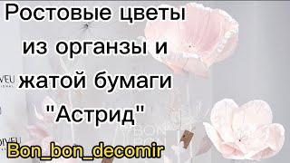 Ростовые цветы из органзы и жатой бумаги "Астрид" /Big  flowers of organza and reaped paper "Astrid"