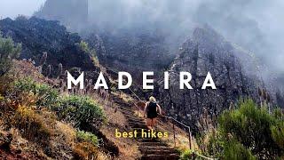 5 Best Hikes in Madeira Portugal  Hiking Road Trip