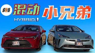 Toyota Corolla Hybrid VS. Prius  丰田同门之争 美国市场混动卡罗拉和普锐斯之间如何选择 跟老韩一起来看看吧