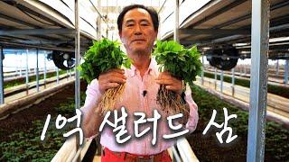 [역전의부자농부 353회] 그냥 삼의 시대는 끝났다! 샐러드 삼의 반란