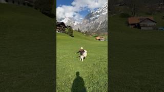 Traveling to Switzerland 