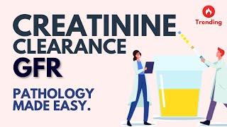 Creatinine Clearance in under 5 mins!  l GFR l Pathology Made Easy