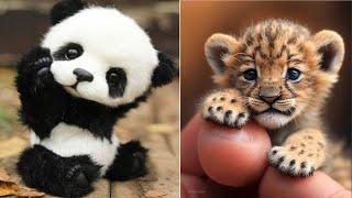 AWW Animals SOO Cute! Cute baby animals Videos Compilation cute moment of the animals #18