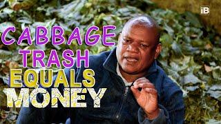 How to Make Money Out of Cabbage Waste