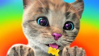 LITTLE CAT STORY - LITTLE KITTEN MY FAVORITE CAT - FULL EPISODE EDUCATION CARTOON ANIMATION FOR KIDS