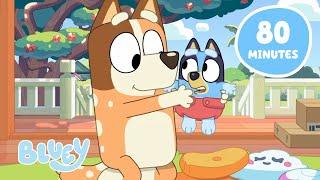 LIVE: Bluey Favourite Family Moments   | Best Wholesome Bluey Episodes | Bluey