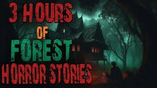 SCARY FOREST STORIES | PARK RANGER, SKINWALKER, DOGMAN, DEEP WOODS, CRYPTIDS