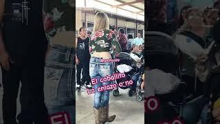 Pulga de Alamo Texas #youtubeshorts #dance #pulgadealamo #shortsfeed #short #chihuahua #cute
