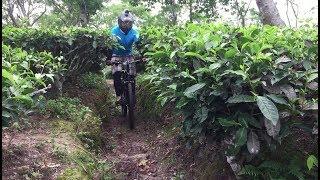 MTB Ride Around Doke Tea Garden