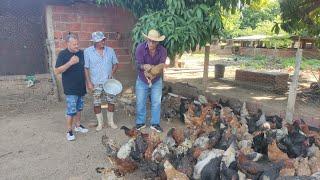 VISITANDO UM CRIATÓRIO DE GALINHAS E PORCOS EM CACHOEIRA DOS ÍNDIOS NO SERTÃO PARAIBANO.