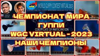 ЧЕМПИОНАТ МИРА ГУППИ 2023 / WORLD GUPPY CONTEST VIRTUAL 2023 / НАШИ ЧЕМПИОНЫ и ПРИЗЕРЫ.