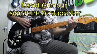 Fender Stratocaster David Gilmour signature