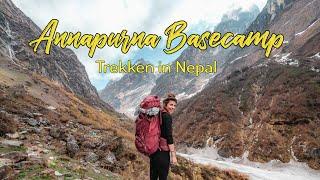 Der BESTE TREK in NEPAL für ANFÄNGER - Guide zum Annapurna Basecamp l Route • Ausrüstung • Kosten