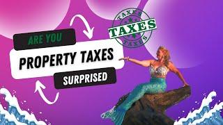 Maximize Your Property Tax Savings Florida: Homestead Exemption and Portability with Tamela Staubs