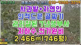 자연인+사과밭!최상급 7년생 부사!지하수,전기 완비!2,466㎡/746평(청송군 현동면 토지매매)