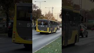 Autobuzul VDL Berkhoff #8162 intrând în stația de coborâre “Piața Presei” pe linia 403