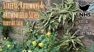 Habitat Talk: Streets, Railways and Brownfields