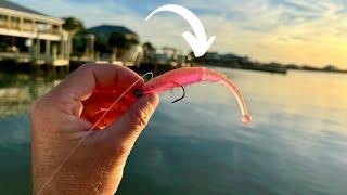 THIS Is How I Catch FLOUNDER Around Suburban Docks Using Artificial Lures.