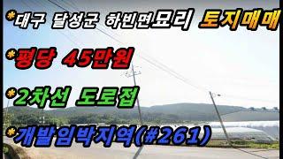 대구광역시 달성군 하빈면 묘리 토지매매/2차선도로접/개발임박지역/전기인입(매번#261)