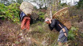 jungle man and his wife are storing chayote || village life in Nepal || jungle family ||