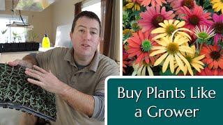 Buy Plants Like a Grower