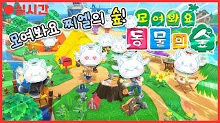 【모여봐요 동물의숲】 모찌엘의 첫 동물의숲 라이브!? 모찌숲!️