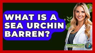 What Is A Sea Urchin Barren? - Earth Science Answers