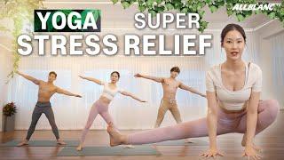 [EN] Yoga for STRESS RELIEF‍️(full body stretching)